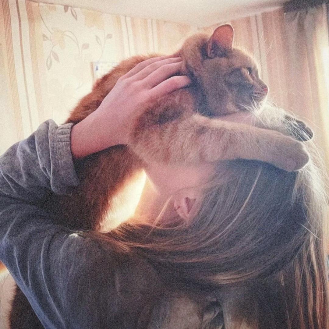 关你什么      诗