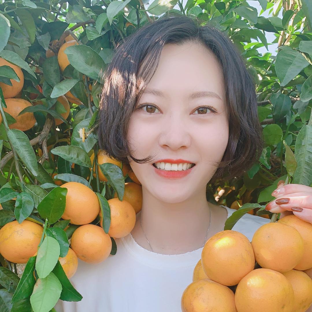叮叮鲜果