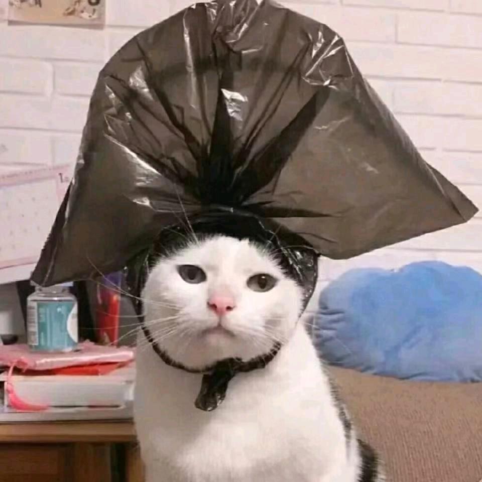 我是你的太阳♡