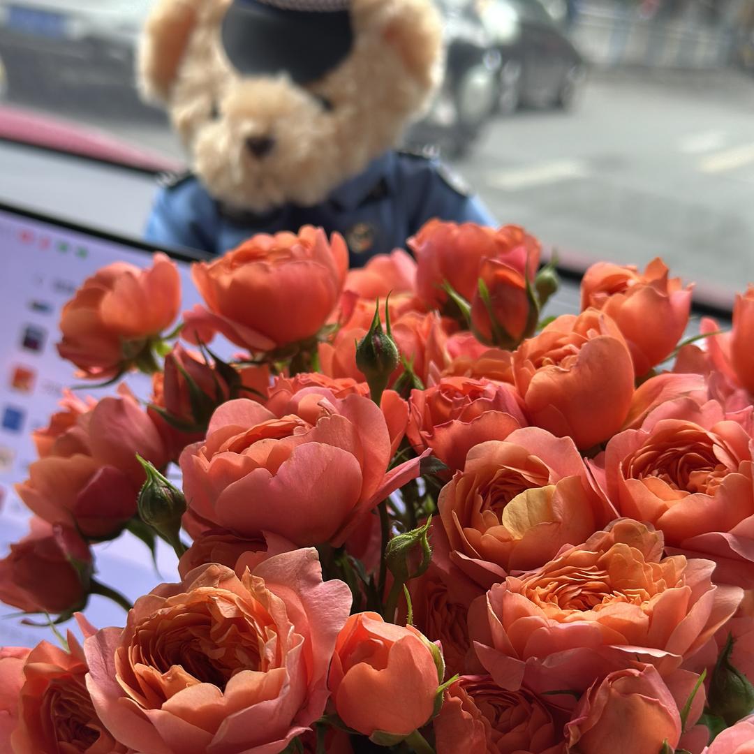 重庆松子传媒有限公司