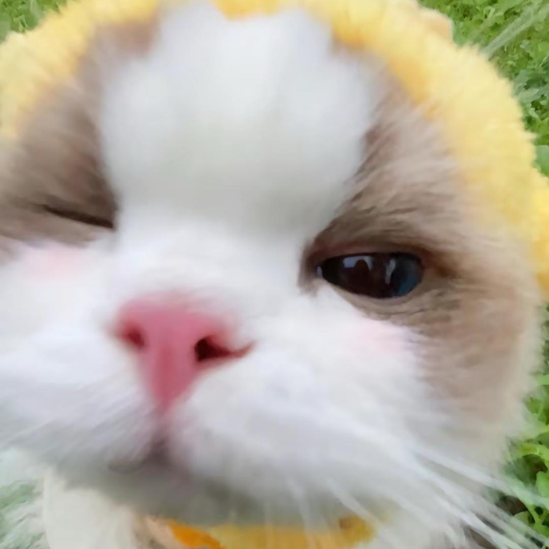 汐（不说话版）