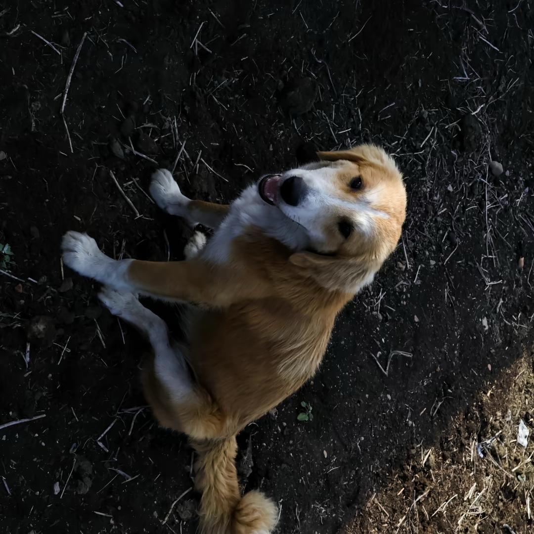 ·