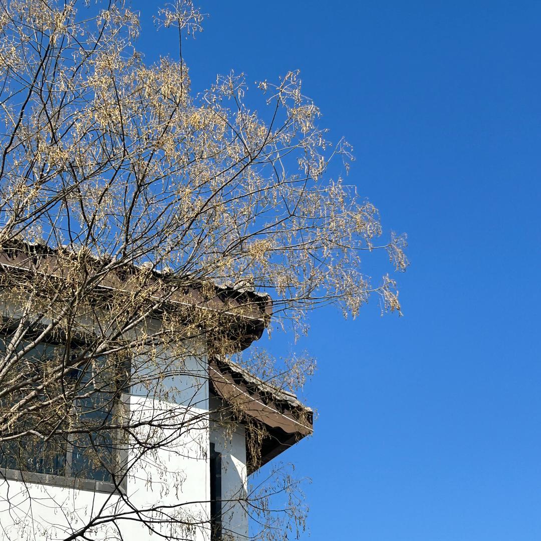 新农村仿古建材小梅