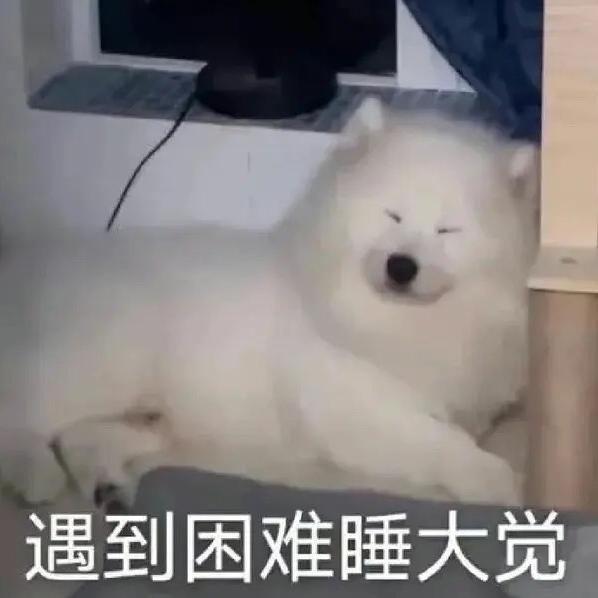 墩墩墩墩墩