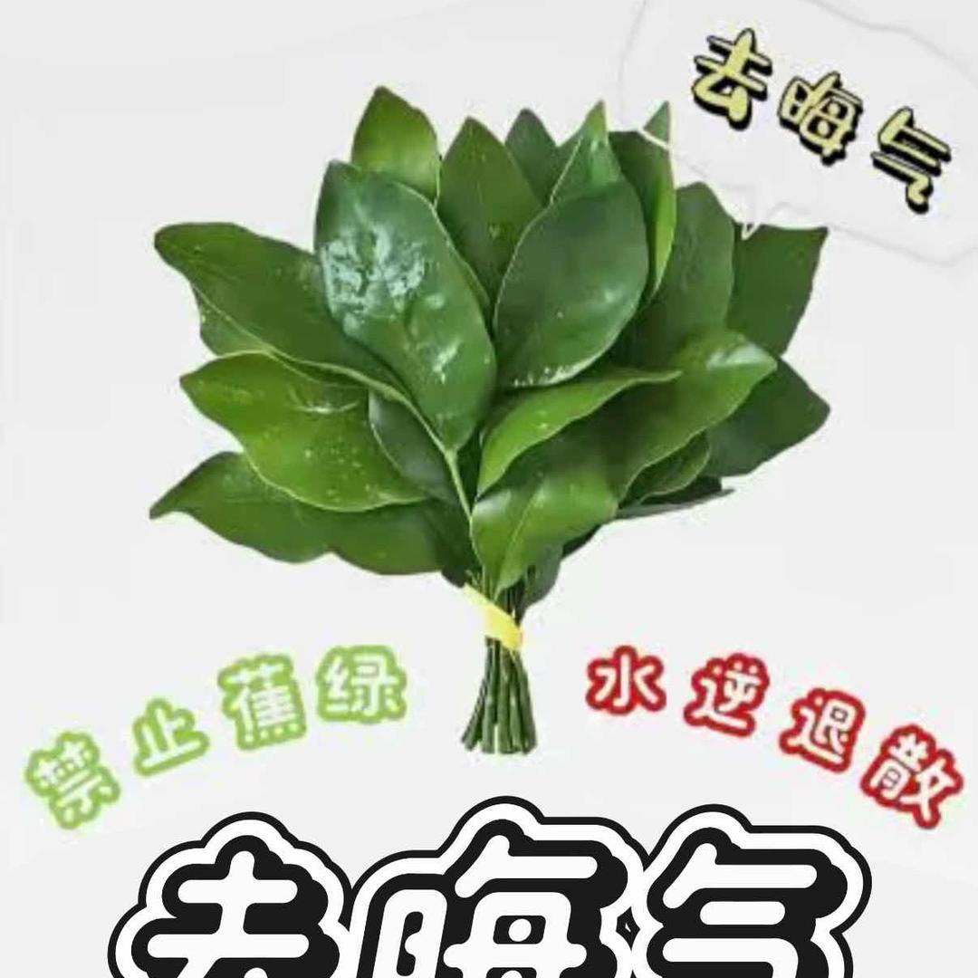 找个宝宝𝑩𝑴𝑾