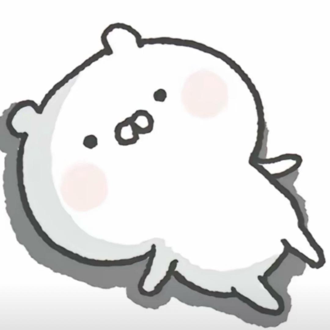 十七🐾