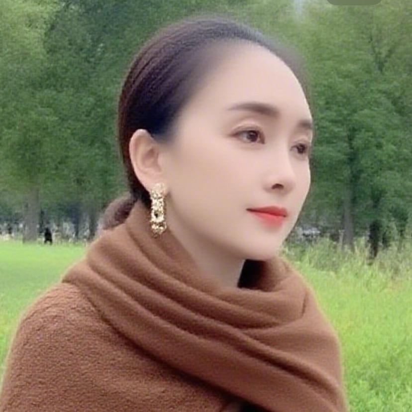 懒猫