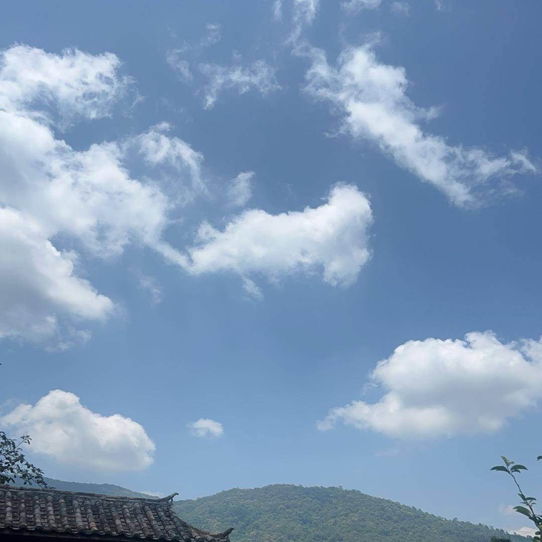 酒馆