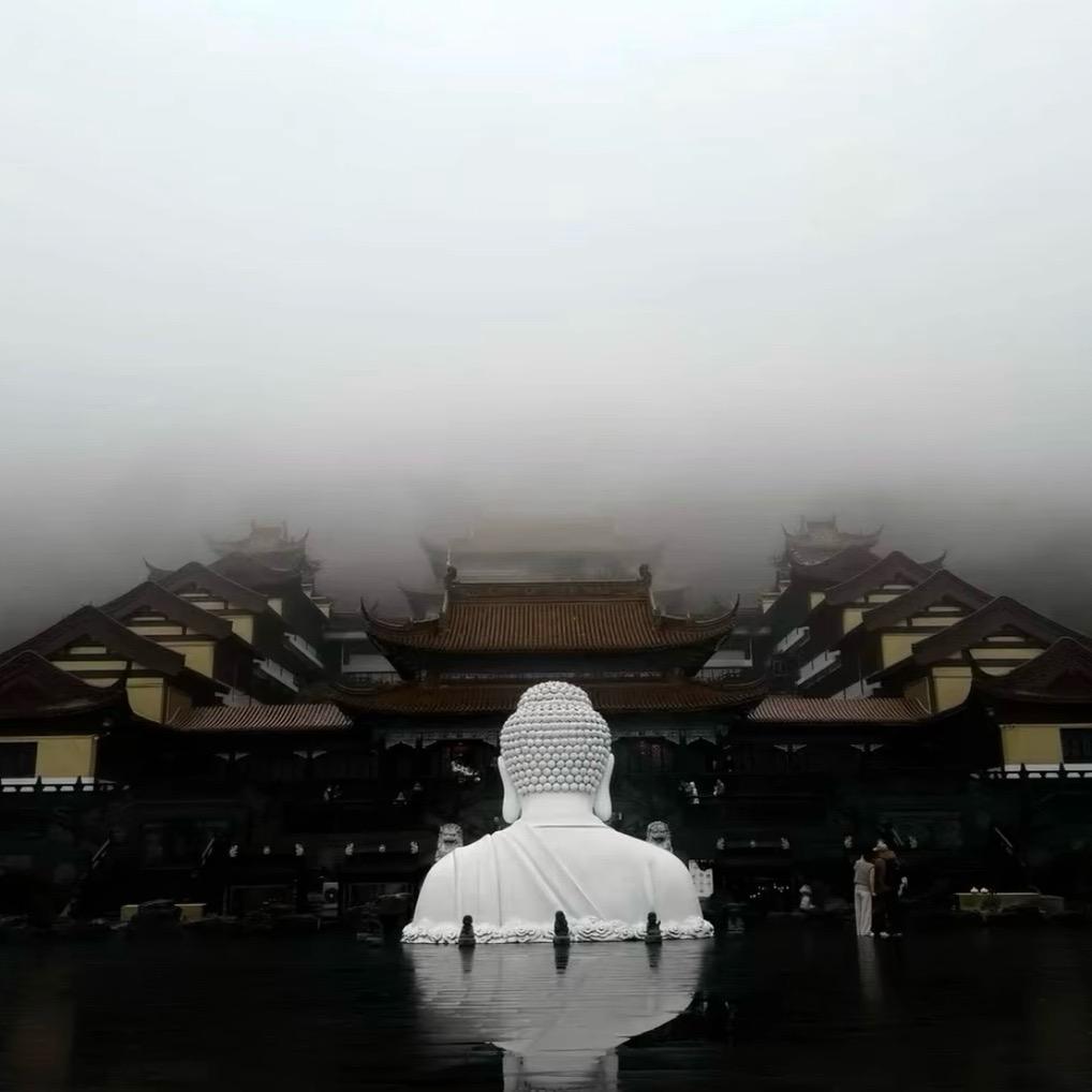 下辈子投胎做个女的