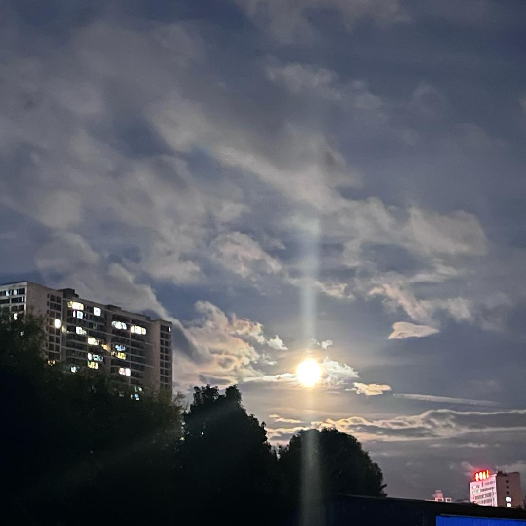 大大笨熊骑士🐻