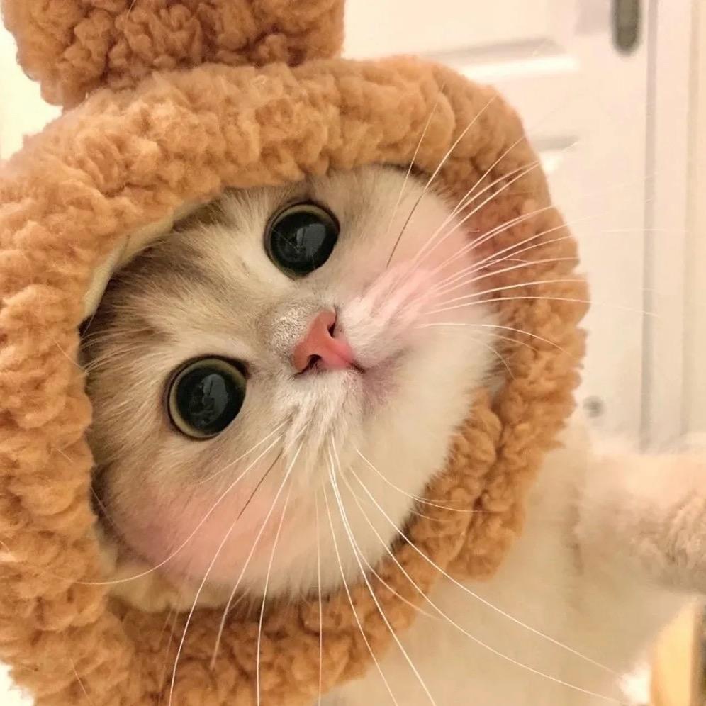 边边❤️