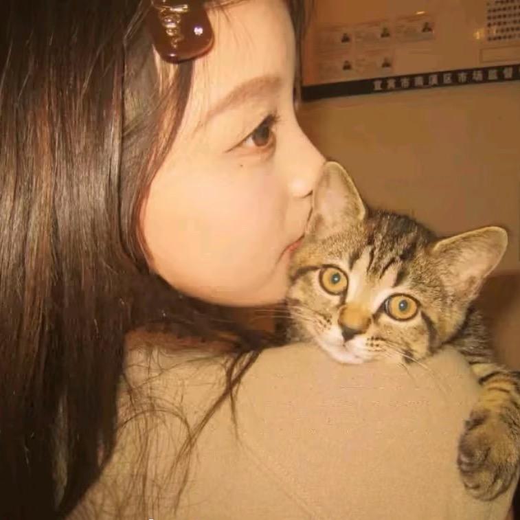 系虹诗
