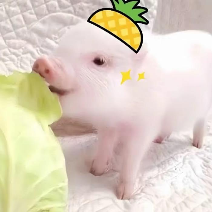 急救包