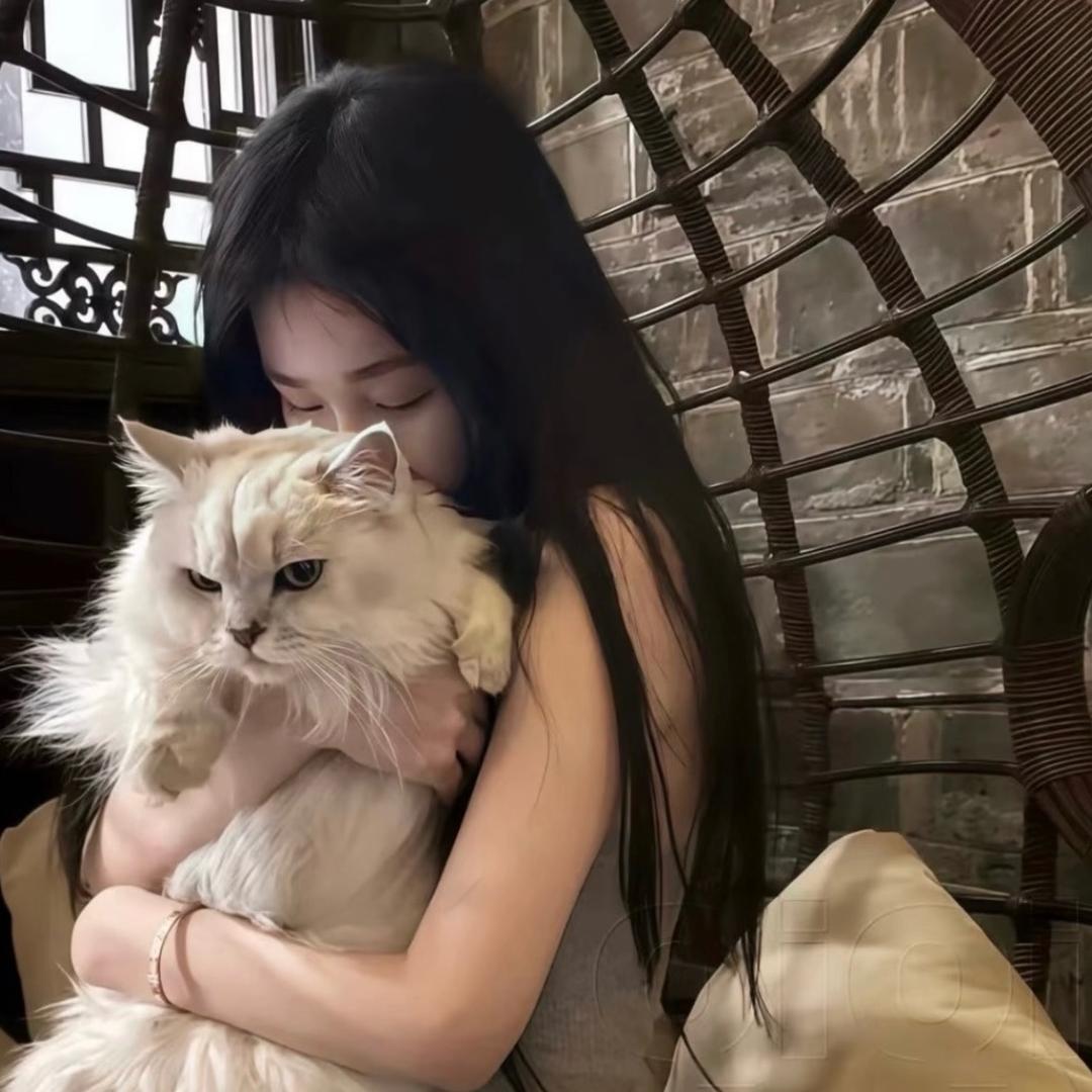 挽桉子