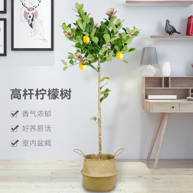 宿迁寇普坊商贸有限公司企业店