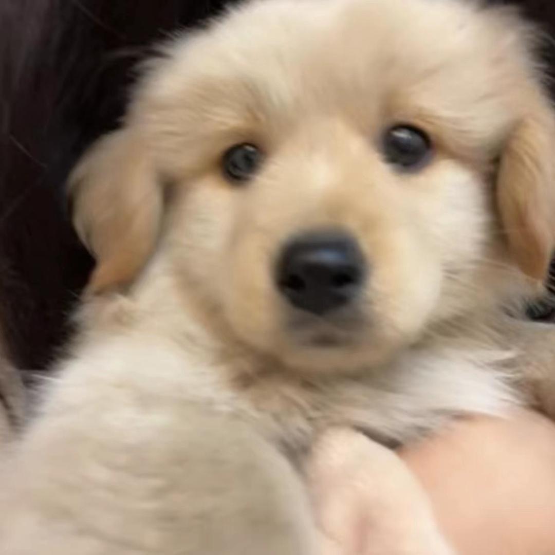 lwy又在搞什么飞机