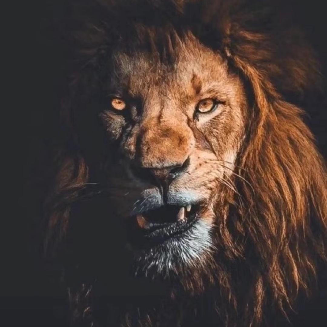 蓝海贵客·三文鱼·海鲜·大闸蟹·绥化店