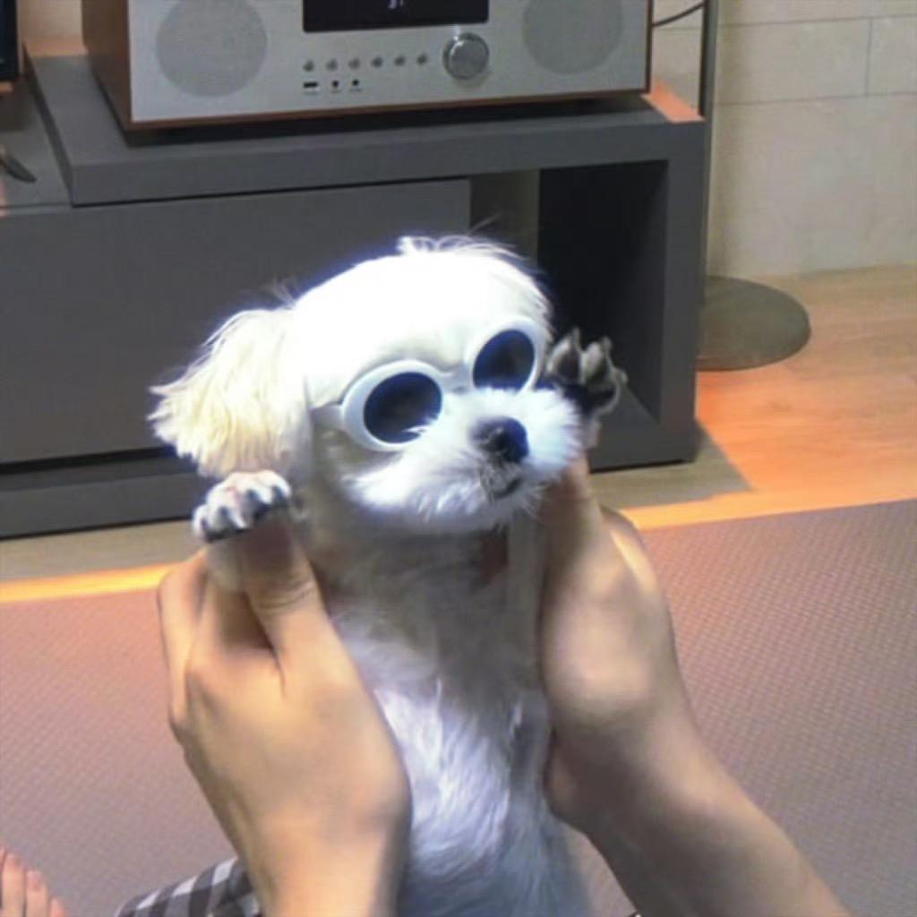 ʕ•̫͡•ʔ破防了