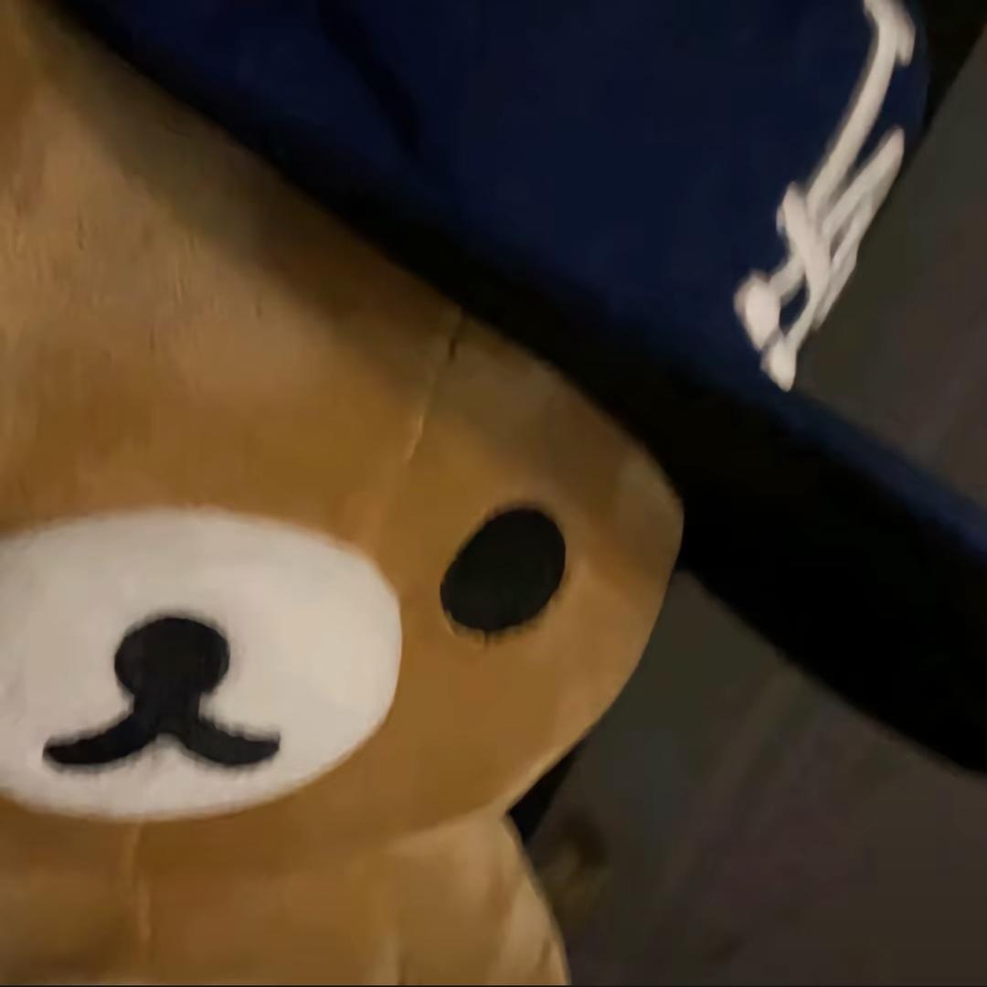 甲鱼