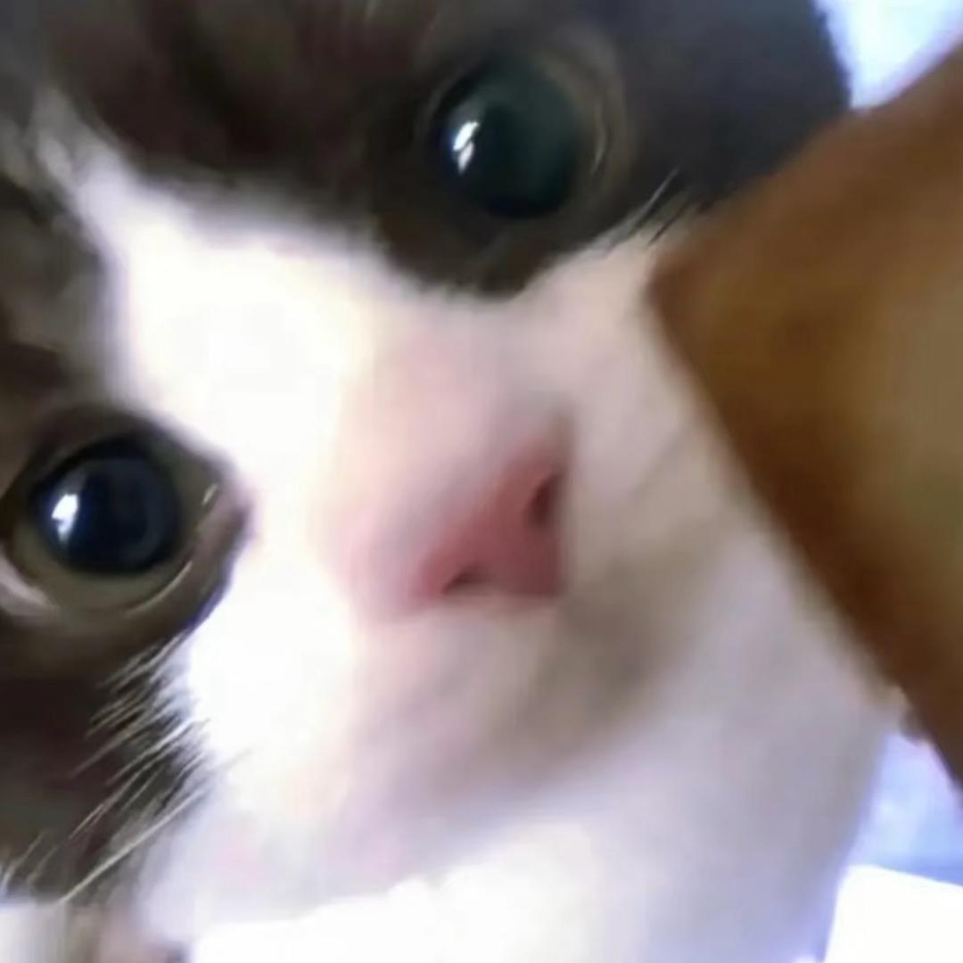 如果小挽也觉得