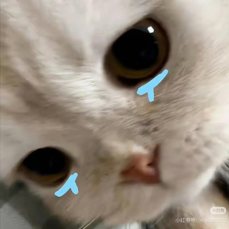 怎抹茶不到余额