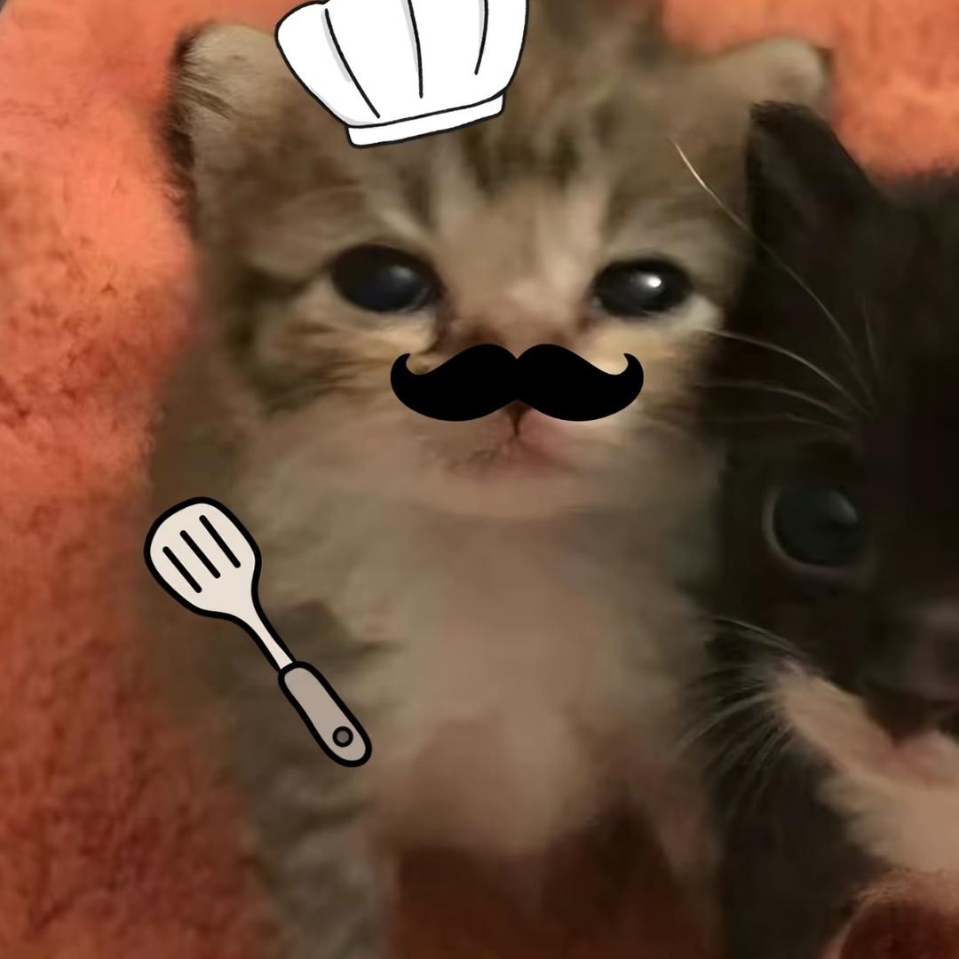蒸汽刺猬狗