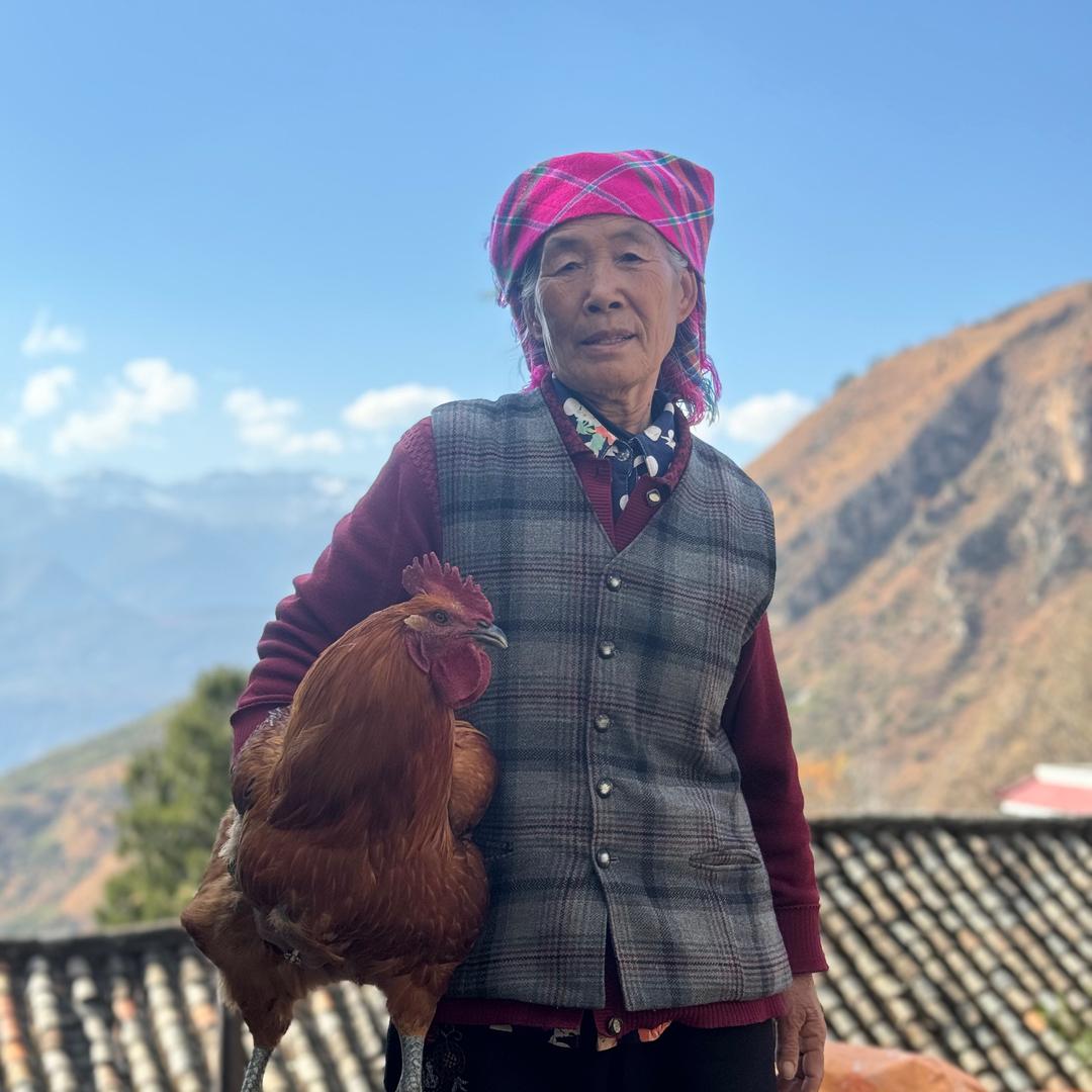 乡村王奶奶