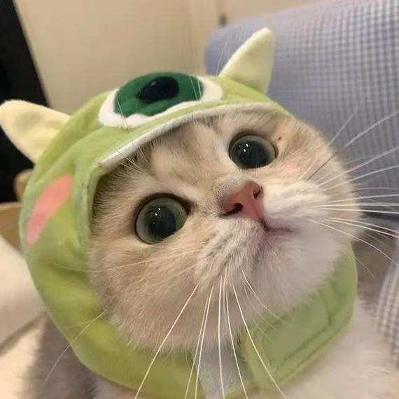 乐趣生活