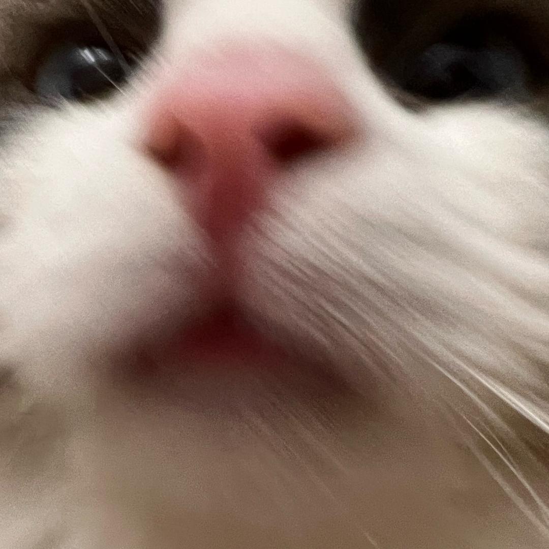 -_-