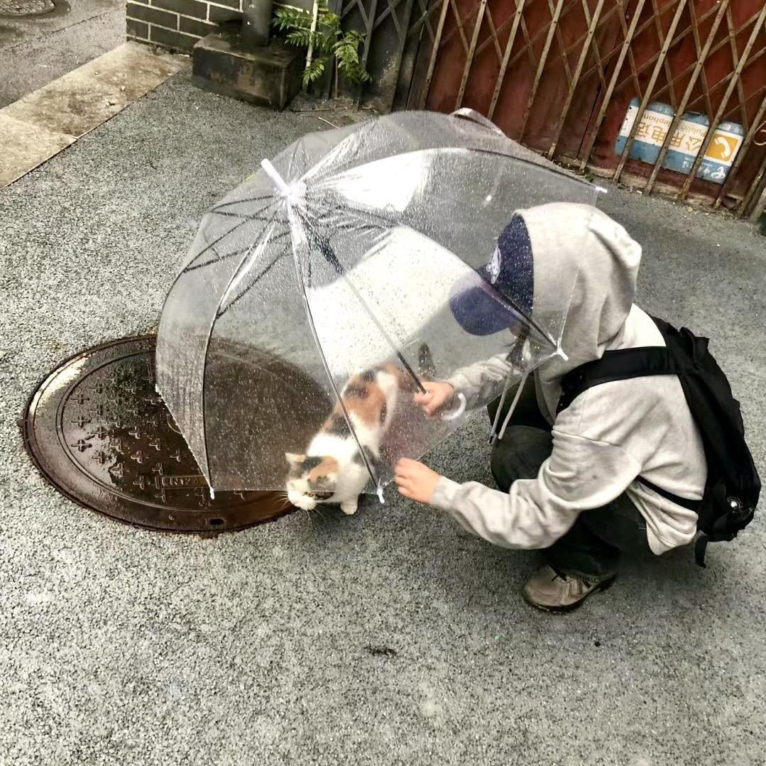 再见.