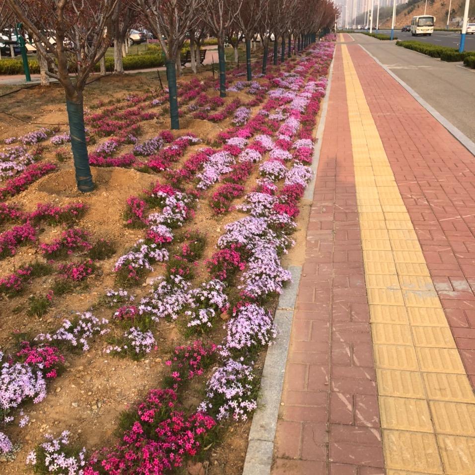 木匠孙师傅
