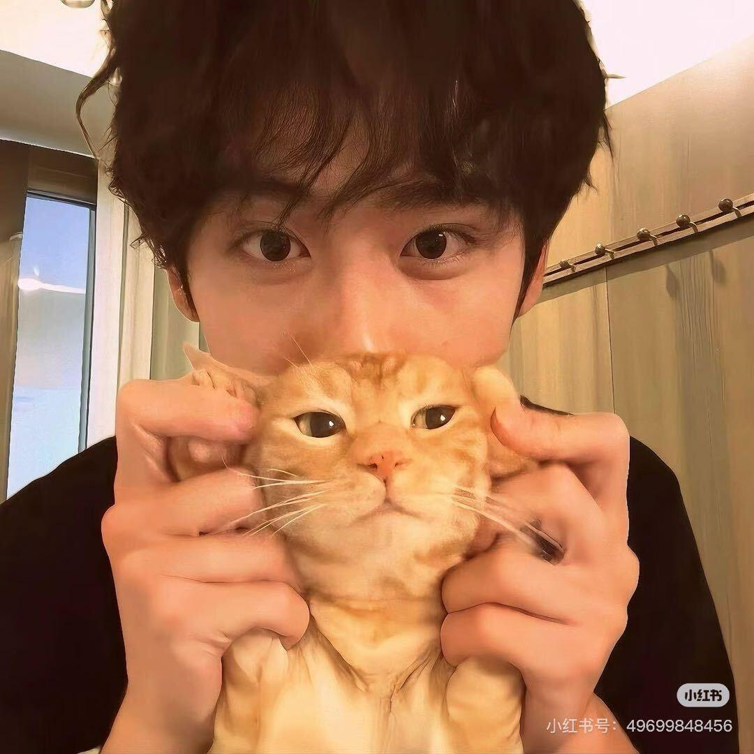 伤害女人的事我做不到