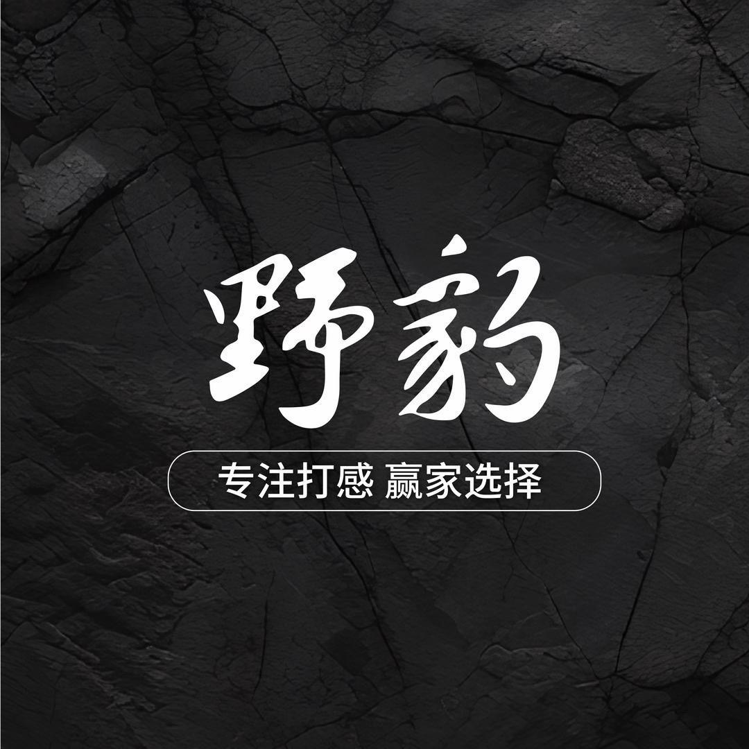 野豹球杆专场(郑州店)