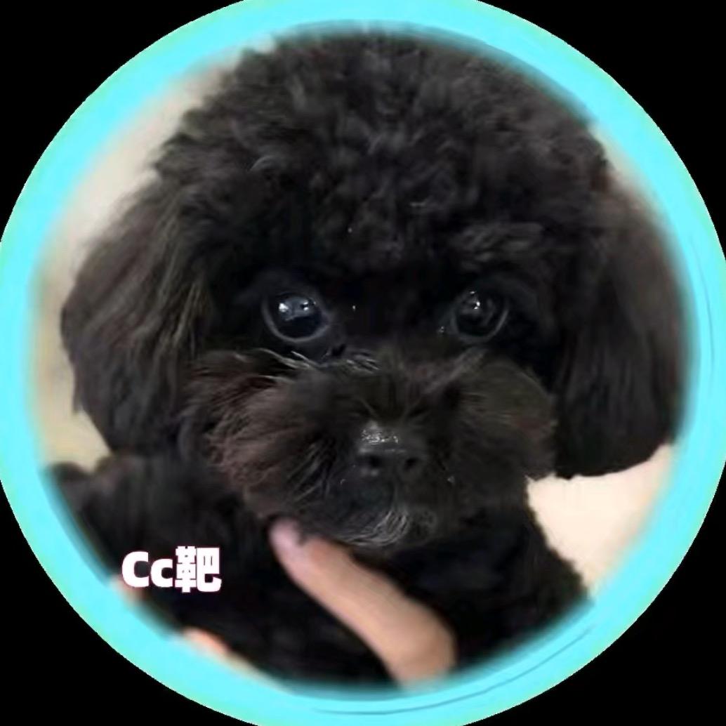 μ靶心•巴蒂℡