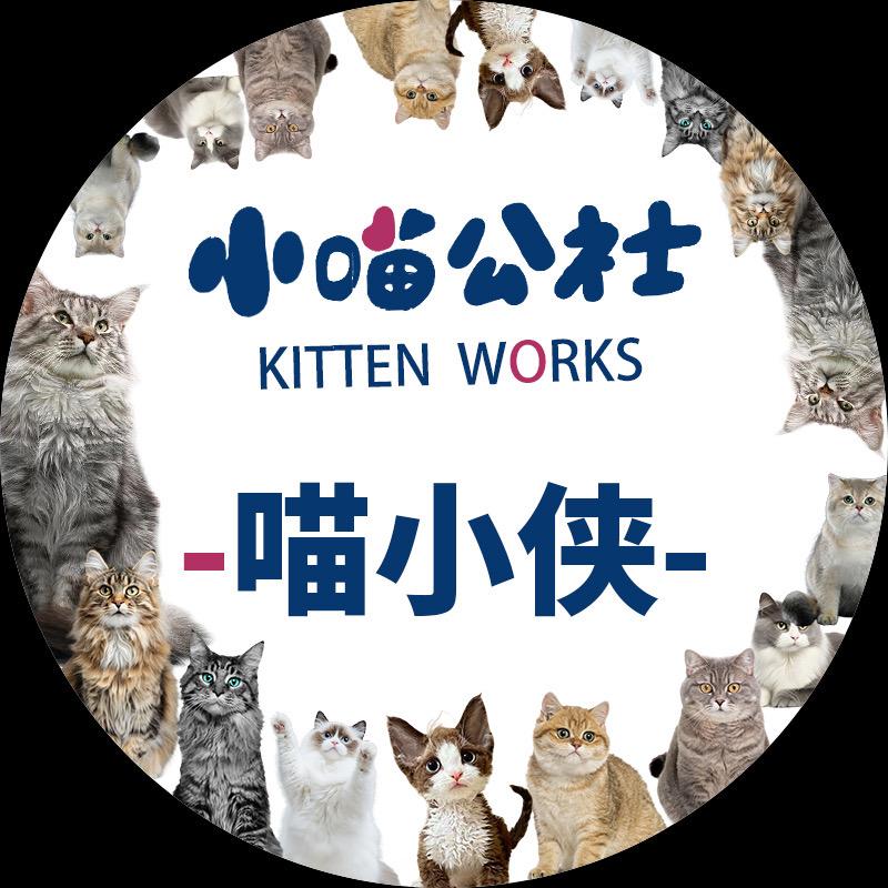 喵小侠缅因猫（创业版））🐈