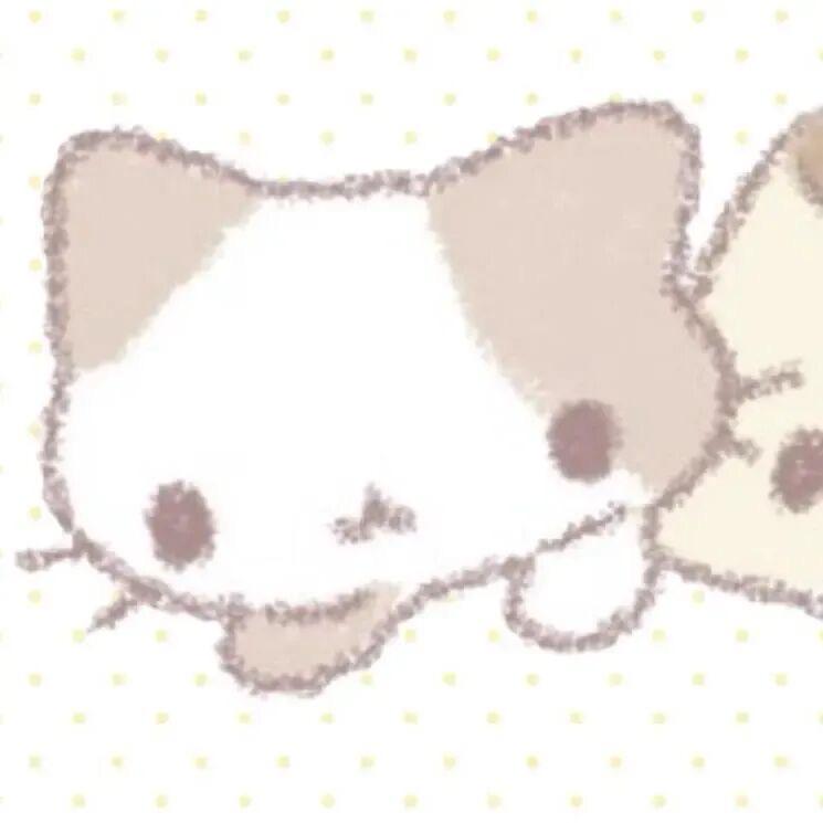小海苔ovo
