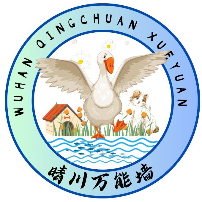 武汉晴川学院万能墙