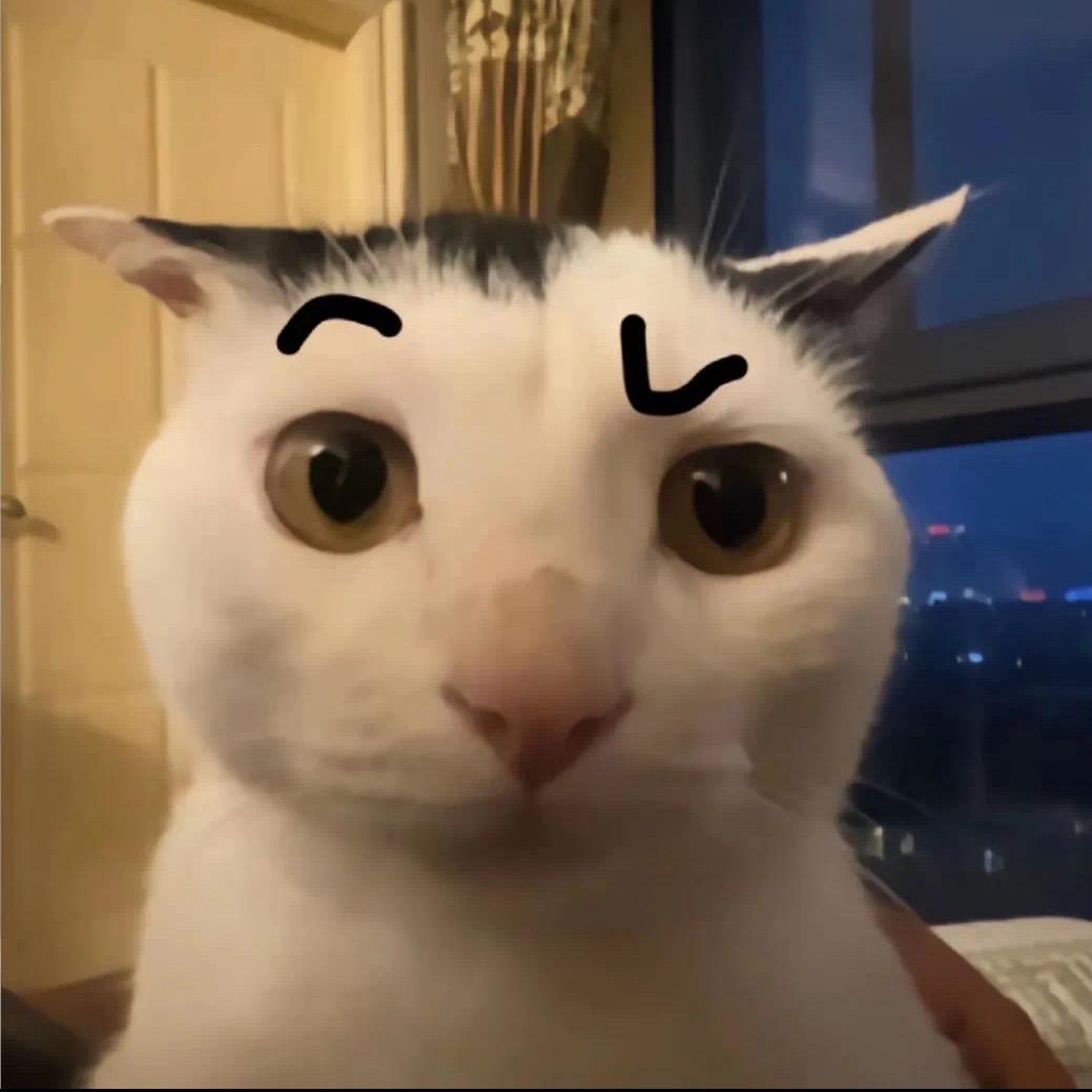 屎迪仔