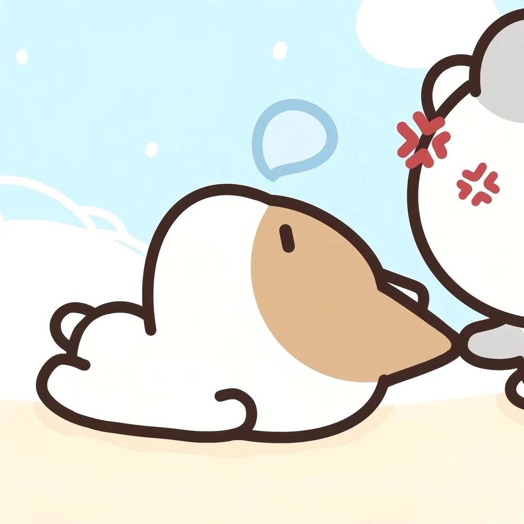 乔老师的小跟班