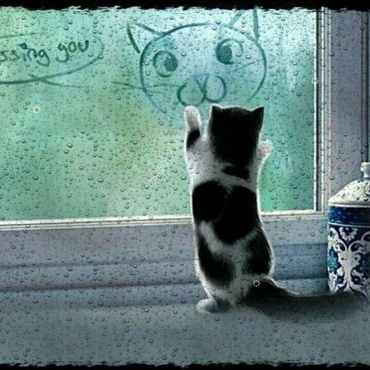 我爱鱼鱼鱼鱼爱我