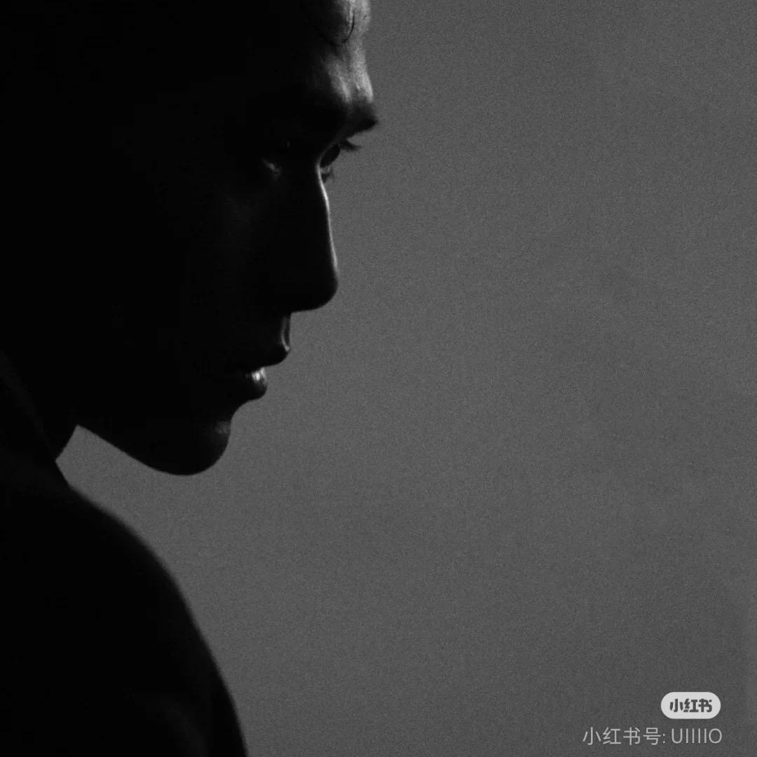 我勒个铁板鹅🪿