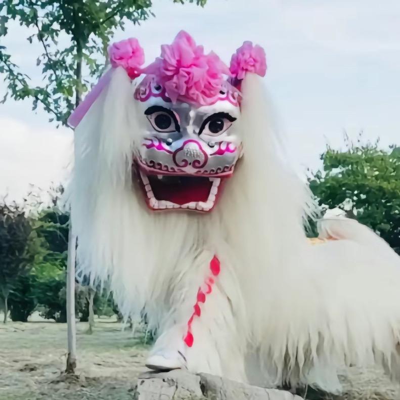河南鸿盛小白狮【团长·张顺】
