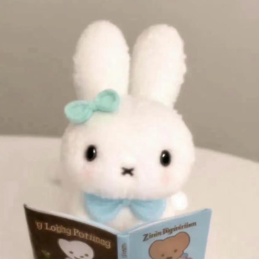 ʚZLɞ