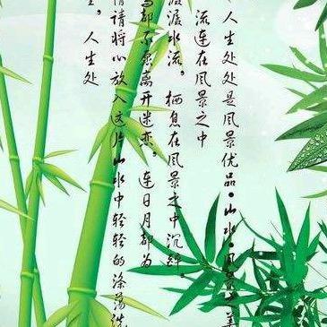 🎋松竹含韵🎋