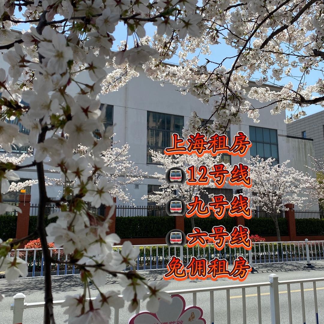 免费咨询租房
