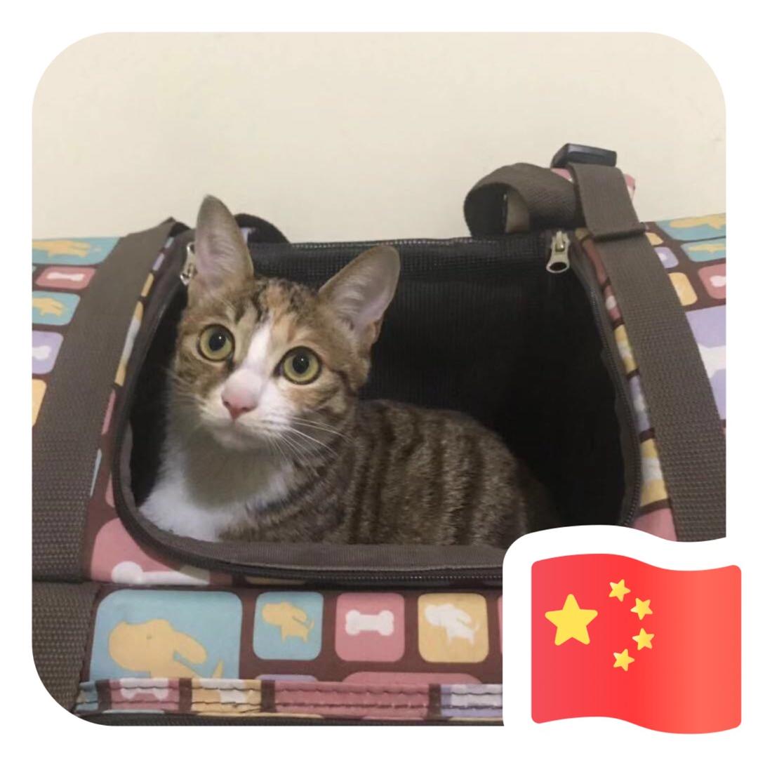 百厌星-