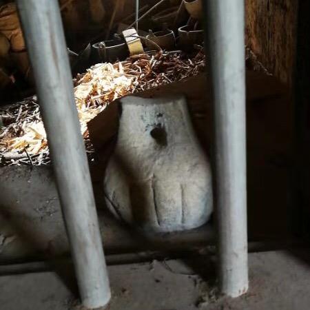 重庆鸡公宝（马尾正荣财富店）