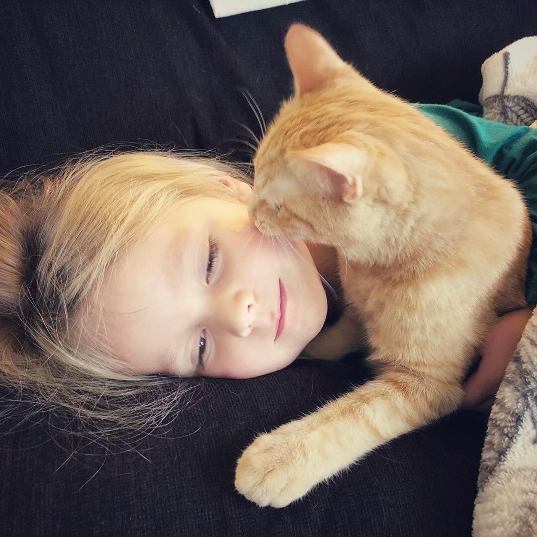 把你们豆沙了吧