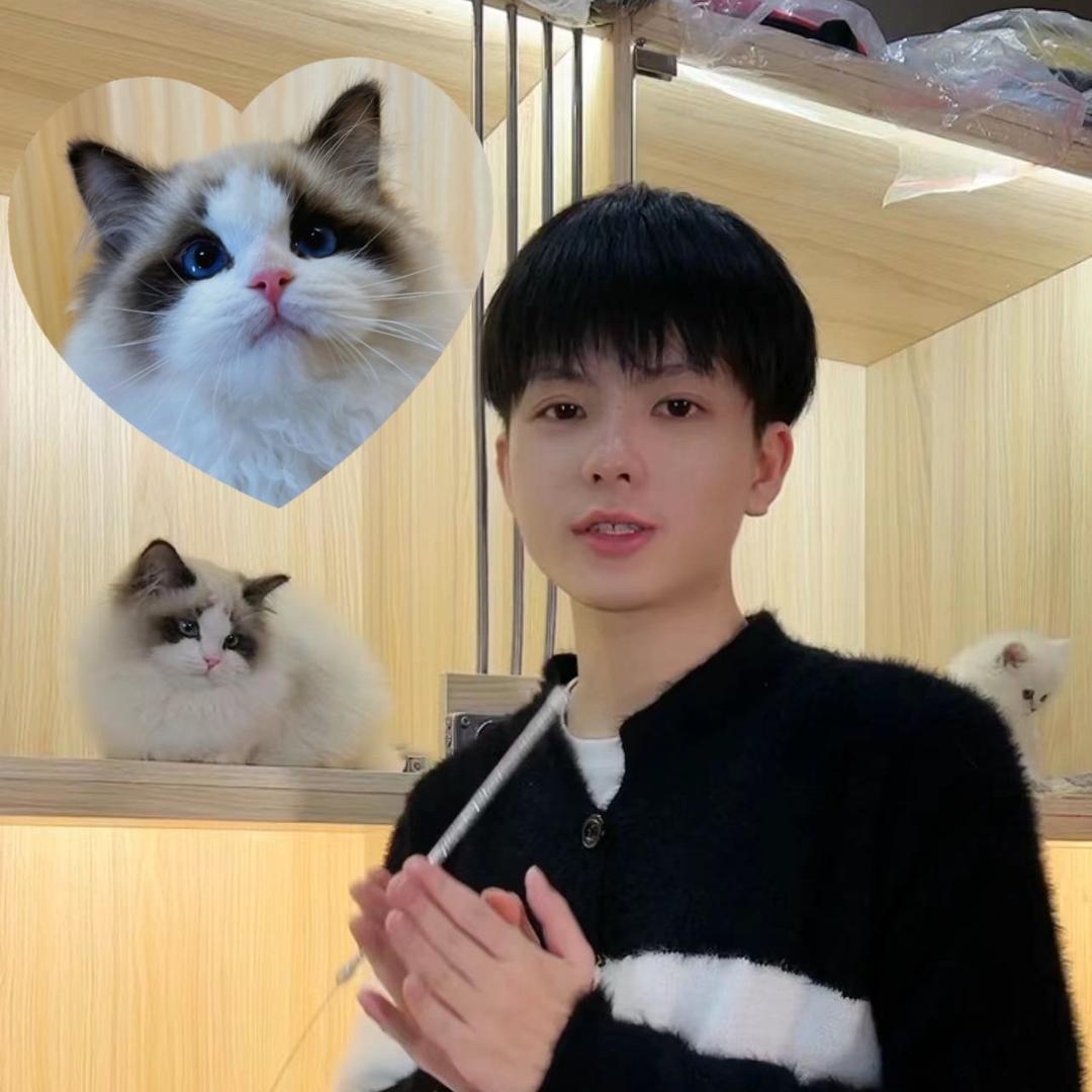喵趣猫屋-小郑说猫