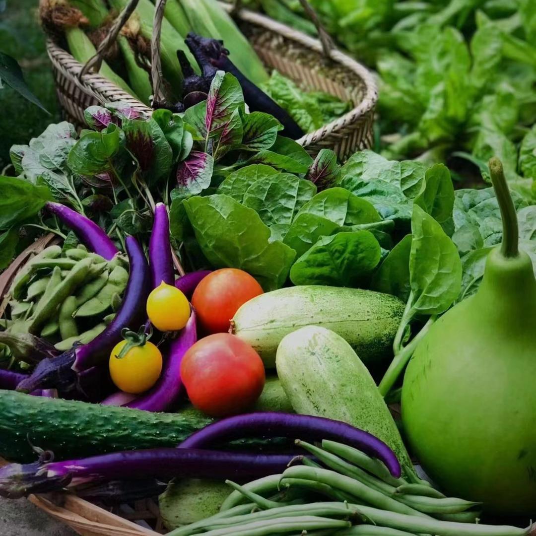 小妹果蔬甄选（云南小黄姜）